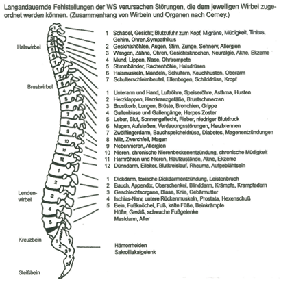 Störungen der Wirbelsäule
